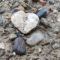 释怀的咸鱼的头像